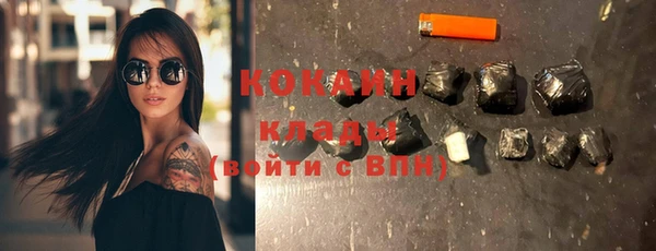 молекула духа Карпинск