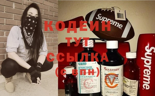 молекула духа Карпинск