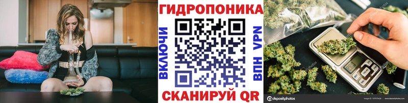 Купить закладки  Грязи  Каннабис сатива 